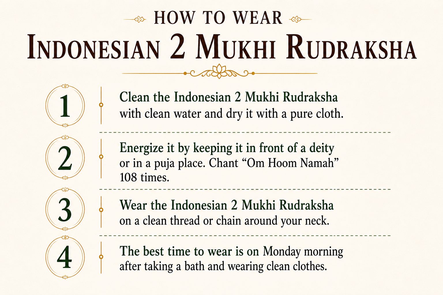 2 Mukhi Rudraksha ( Indonesian  Origin)